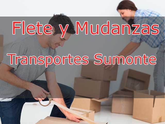 Mudanza.cl Mudanza servicio de carga Villa alemana Mudanza.cl Mudanza servicio de carga Villa alemana